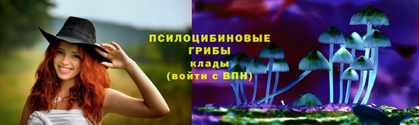 гашиш Абаза