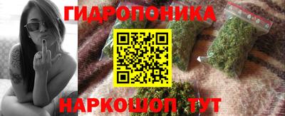 шишки Рязань