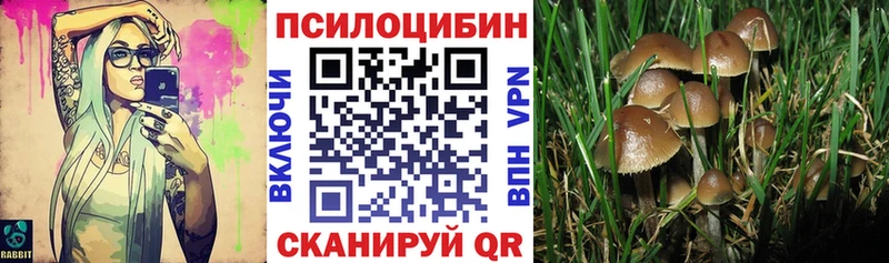 Галлюциногенные грибы MAGIC MUSHROOMS  Топки 