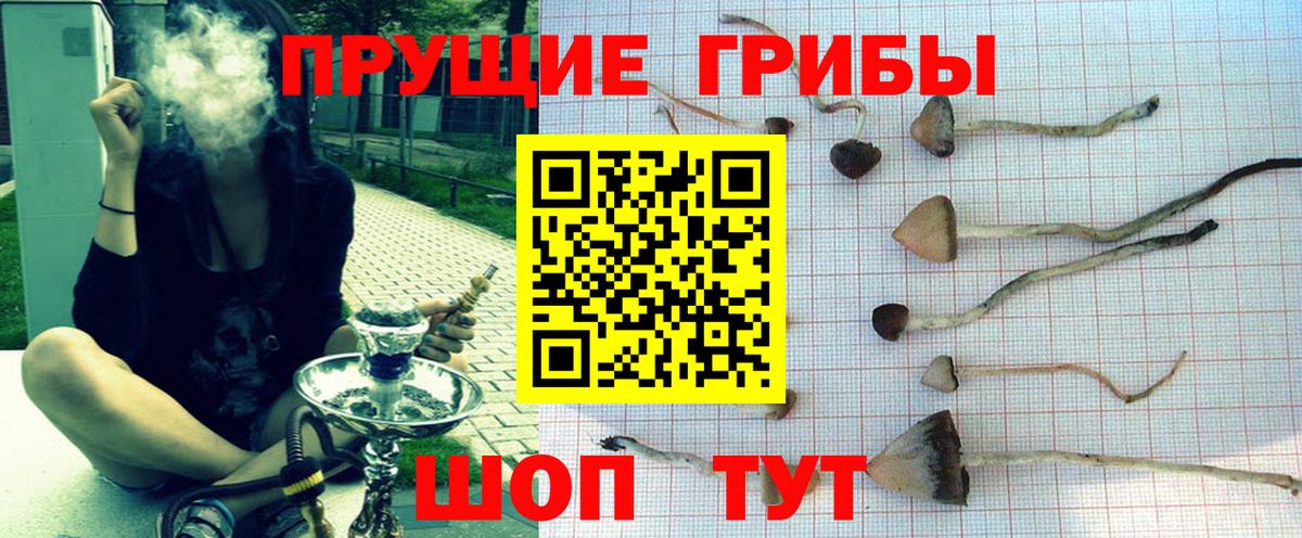 Псилоцибиновые грибы GOLDEN TEACHER Топки