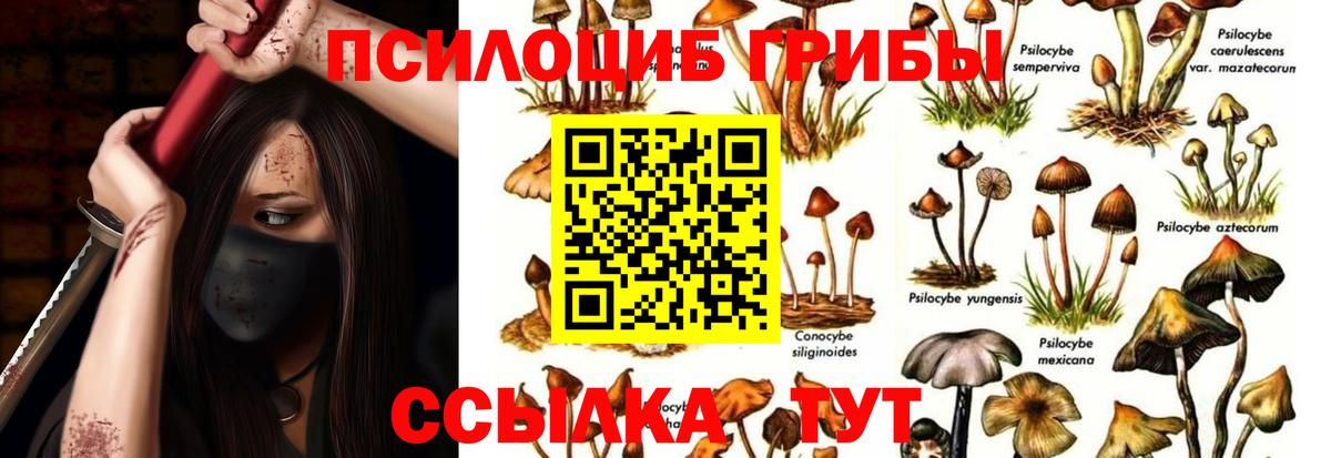Топки  Галлюциногенные грибы MAGIC MUSHROOMS  Вход с VPN  Галлюциногенные грибы GOLDEN TEACHER 